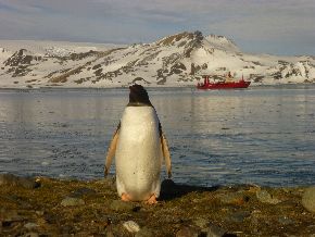Las investigaciones científicas del Perú en la Antártida reveladas en documental.