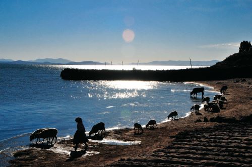 Poblaciones ribereñas de Puno son las más afectadas por el descenso del lago Titicaca.