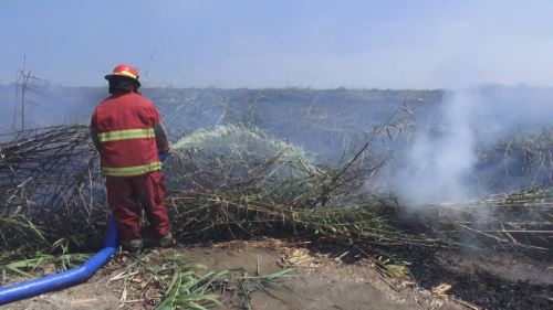 Extinguen incendio forestal en Marangani