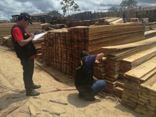 Mesa de Control y Vigilancia Forestal de San Martín acordará acciones contra la tala ilegal.