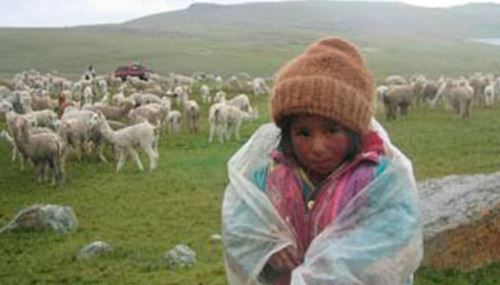 Heladas en la región Cusco.Foto: Diario del Cusco