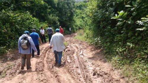 Productores de cacao se beneficiarán con mejora de caminos vecinales.