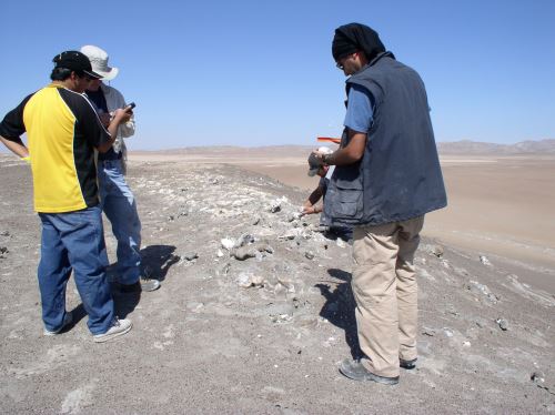 Investigadores de Estados Unidos y Perú realizarán estudios en desierto.
