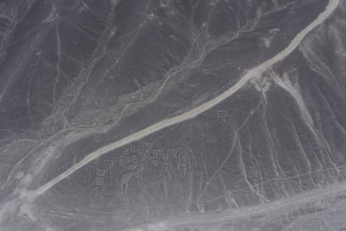 Caminos de herradura cruzan la zona donde fueron hallados los geoglifos en Palpa.