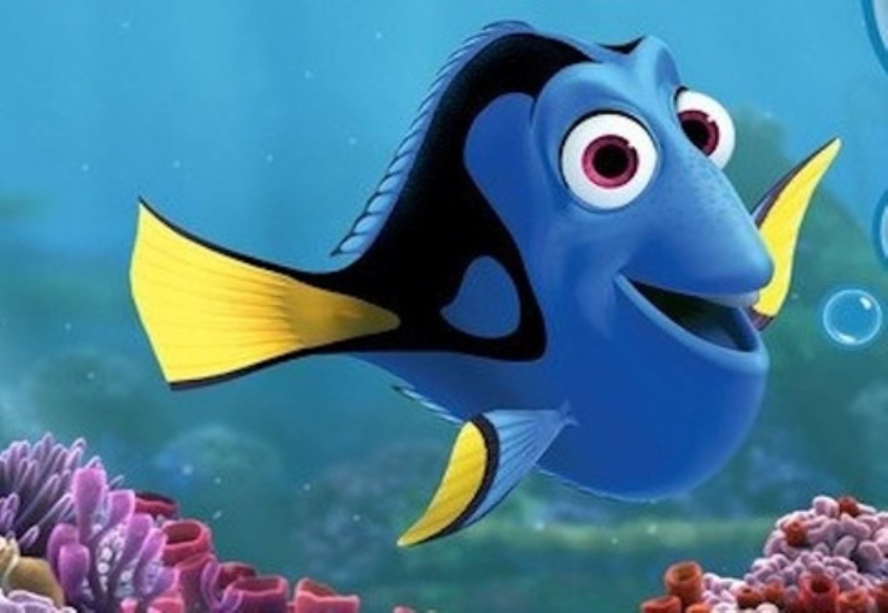 Pixar Quiere Repetir El éxito De Buscando A Nemo Con Dory Noticias