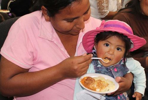 El objetivo de la seguridad alimentaria es combatir la desnutrición crónica infantil.