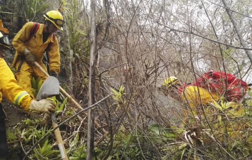 Extinguen incendio forestal en Ollantaytmbo